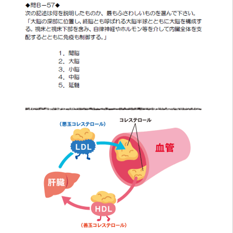 ＣＢＴ用★＜上巻＞薬学検定１級（演習問題集）