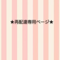 ★再配達専用ページ★1200円★