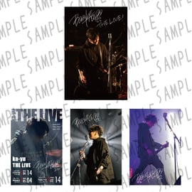 ka-yu THE LIVE Goods発売開始！ | Solid Beat