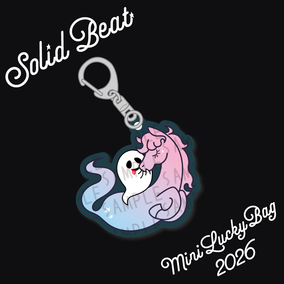 SOLID BEAT MINI LUCKY BAG 2026 | Solid Beat