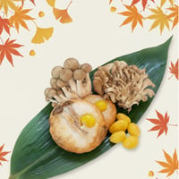 季節のはんぺい　10月の朔日はんぺい（舞茸・しめじ・銀杏入り）