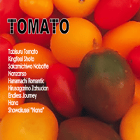TOMATO