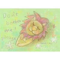 おひるねライオン【展示品】