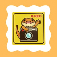 フトアゴヒゲトカゲ 録画中マグネットステッカー