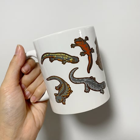 岸本ウラチ　シリケンイモリ Amazon.co.jp: 岸本ウラチ シリケンイモリ 魚 ヤマトビ 沖縄