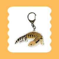 キタアオジタトカゲ アクリルキーホルダー