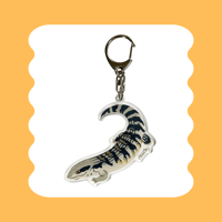 ヒガシアオジタトカゲ アクリルキーホルダー