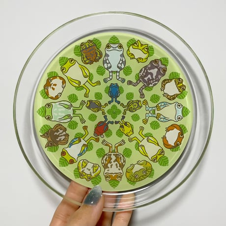 アマガエル | STORES