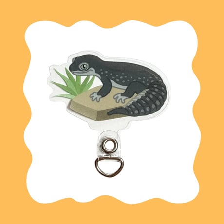 ヒョウモントカゲモドキ | STORES