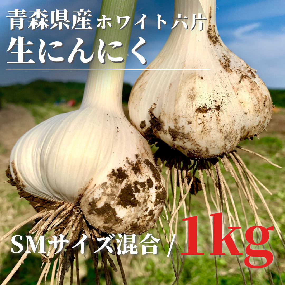 青森県産 生ニンニク 1kg ホワイト六片 SMサイズ混合 にんにく | 川口農園