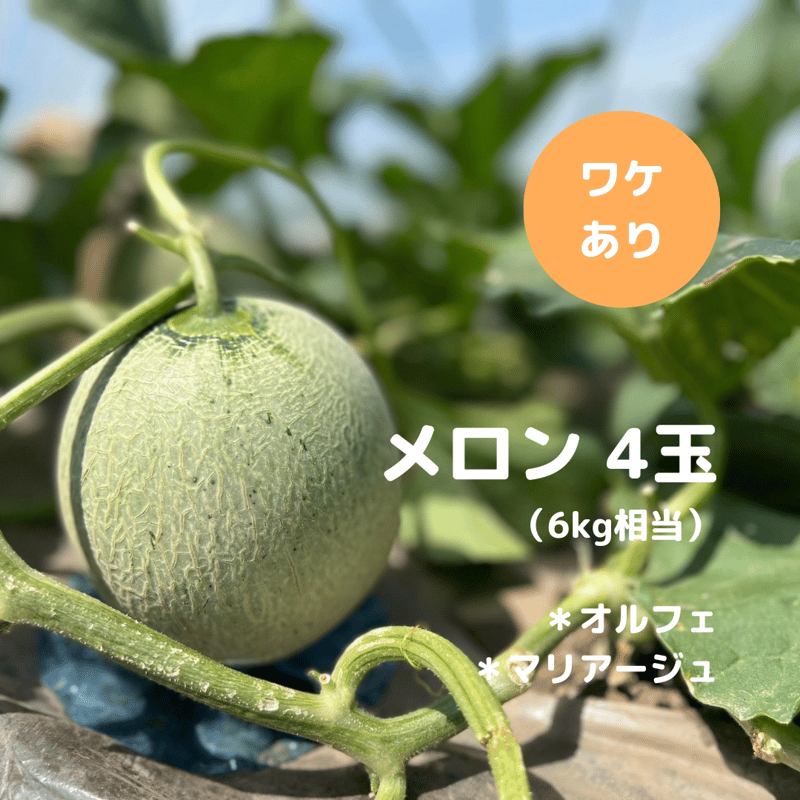 k.farm様 確認用 バレる