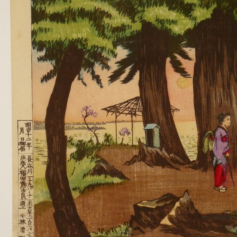 林武作  清楚な桔梗のスケッチ画 林武作 清楚な桔梗のスケッチ画 絵画