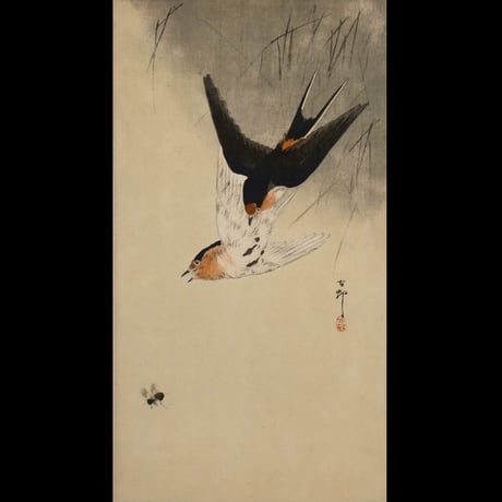 小原古邨 燕と蜂/OHARA KOSON Swallows Chasing a Bee