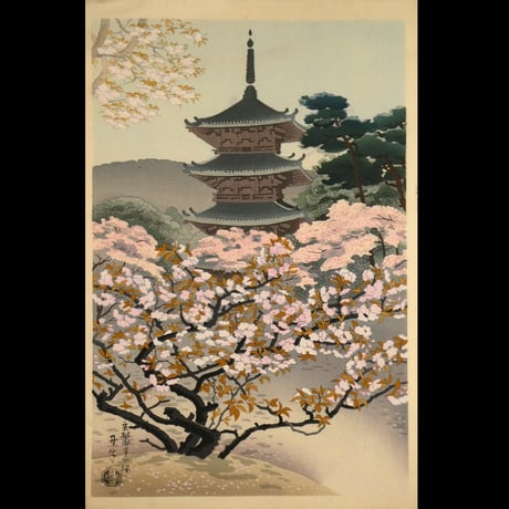 麻田辨自(丹牛) 京都御室の桜/ASADA BENJI Cherry blossoms in Omuro, Kyoto