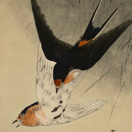 小原古邨 燕と蜂/OHARA KOSON Swallows Chasing a Bee