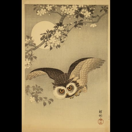 小原祥邨(古邨) 桜にミミズク/Ohara Shoson (Koson)