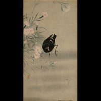 小原古邨 撫子に鷭/OHARA KOSON Moorhen and Pinks
