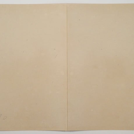 歌川豊宣 新選太閤記 木村井上ノ争闘 二枚続/UTAGAWA TOYONOBU