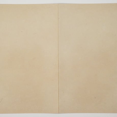 歌川豊宣 新選太閤記 秀吉ノ忍耐 二枚続/UTAGAWA TOYONOBU