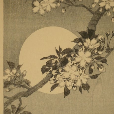 小原祥邨(古邨) 桜にミミズク/Ohara Shoson (Koson)
