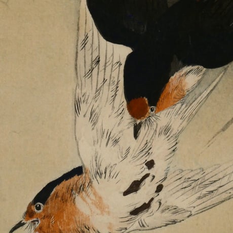 小原古邨 燕と蜂/OHARA KOSON Swallows Chasing a Bee