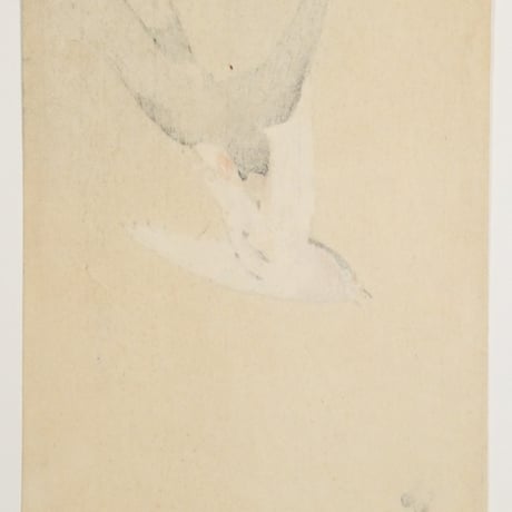 小原古邨 燕と蜂/OHARA KOSON Swallows Chasing a Bee