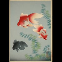 大野麦風 金魚/ONO BAKUFU Goldfish