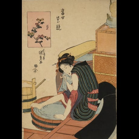 歌川国貞 當世花競 菊/UTAGAWA KUNISADA