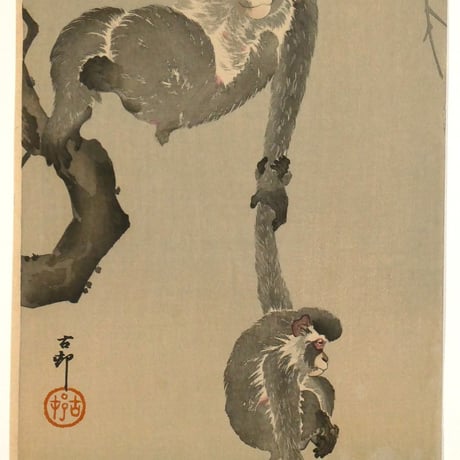 小原古邨 月に親子猿/OHARA KOSON Monkey and baby reaching for the reflection of the moon
