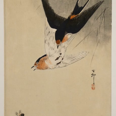 小原古邨 燕と蜂/OHARA KOSON Swallows Chasing a Bee
