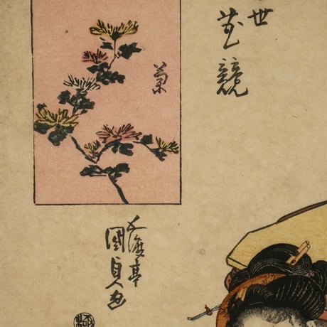 歌川国貞 當世花競 菊/UTAGAWA KUNISADA