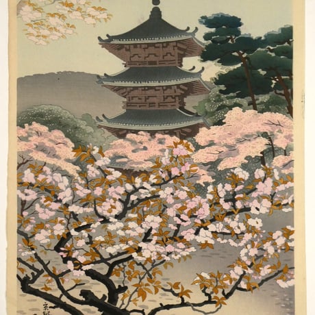 麻田辨自(丹牛) 京都御室の桜/ASADA BENJI Cherry blossoms in Omuro, Kyoto
