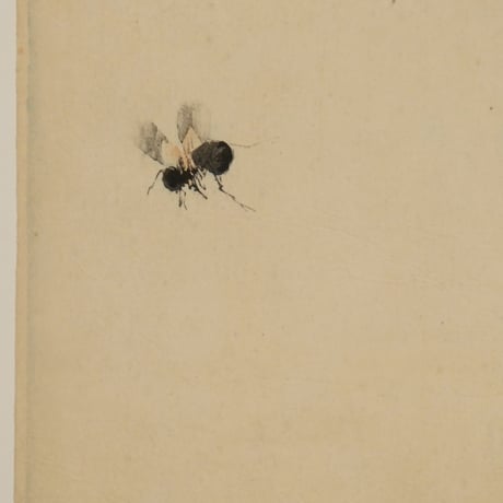 小原古邨 燕と蜂/OHARA KOSON Swallows Chasing a Bee