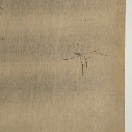 小原古邨 撫子に鷭/OHARA KOSON Moorhen and Pinks