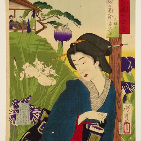 月岡芳年 東京自慢十二ヶ月 五月 堀切の菖蒲 /TSUKIOKA YOSHITOSHI