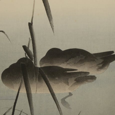 小原古邨 月につがいの真鴨/OHARA KOSON Two Ducks on Moonlit Pond