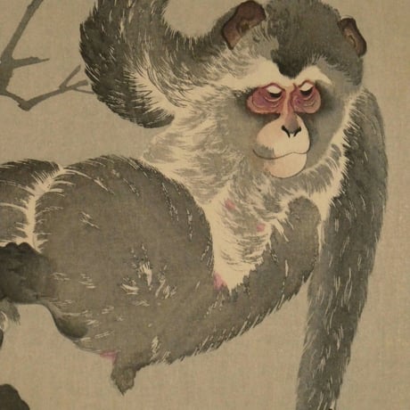 小原古邨 月に親子猿/OHARA KOSON Monkey and baby reaching for the reflection of the moon