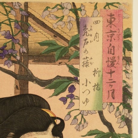 月岡芳年 東京自慢十二ヶ月 四月 亀戸の藤/TSUKIOKA YOSHITOSHI