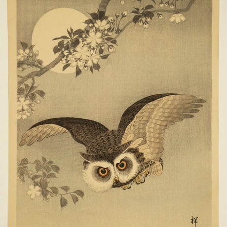 小原祥邨(古邨) 桜にミミズク/Ohara Shoson (Koson)