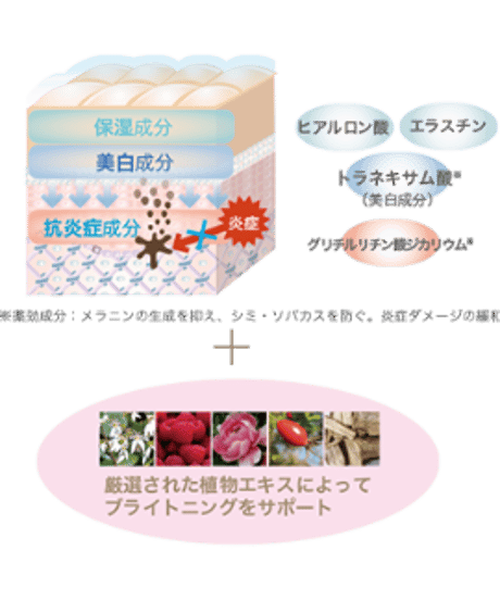 【DRPL】№21 メディカルローション(200ml)　※医薬部外品