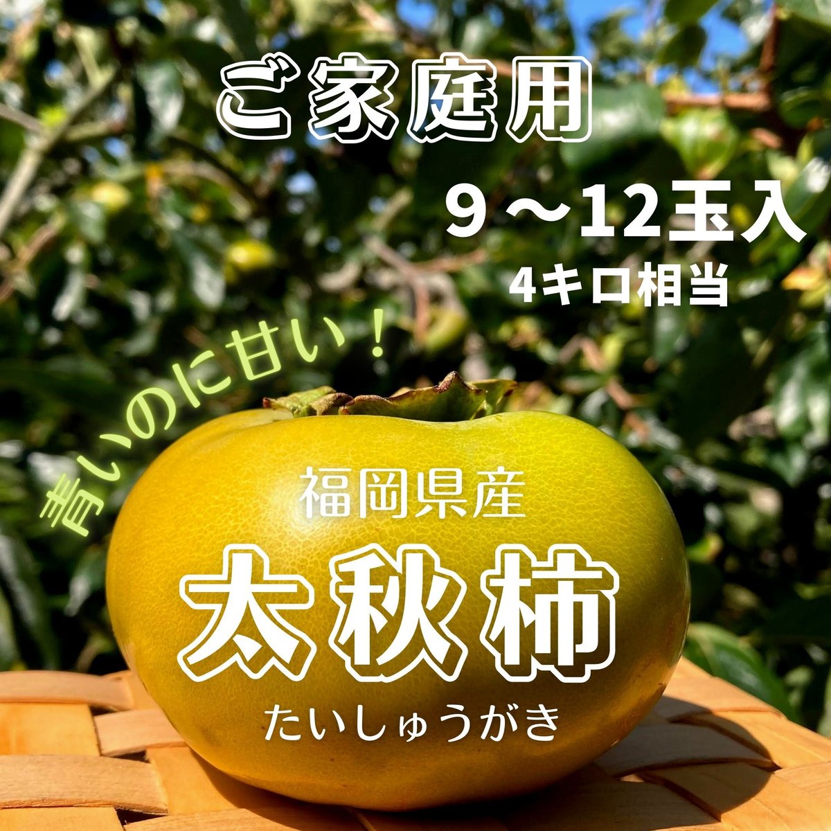 家庭用】太秋柿M箱(約7～12玉入) | イノウエファーム