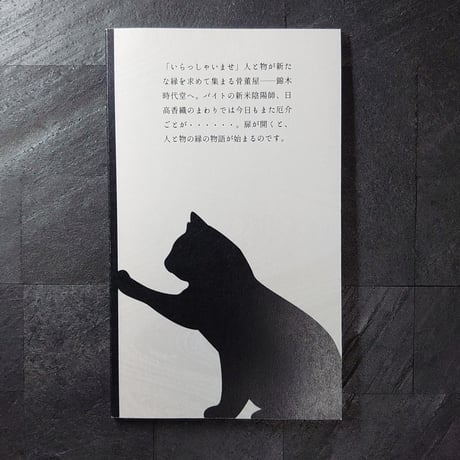 猫と蛇の目と/環望