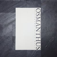 OSMANTHUS/藤川