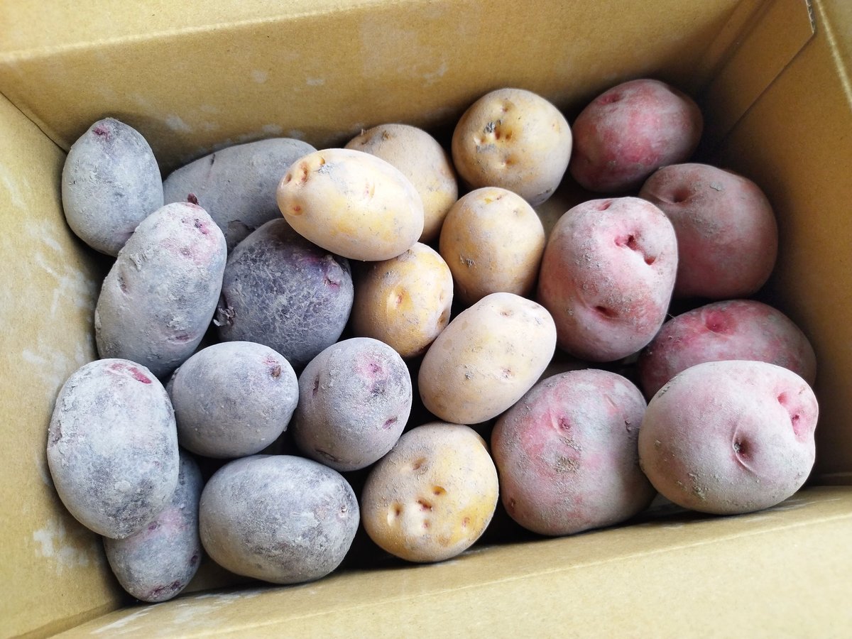 ジャガイモが作ったもの じゃがいも ◇3色セット◇ | 西川農園 STORE