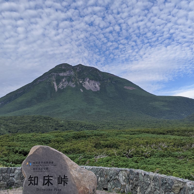 北海道 斜里知床産