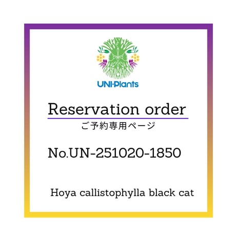 CATEGORY ホヤ植物(Hoya) | UNI-Plants ビカクシダ、ホヤ植物、着生蘭