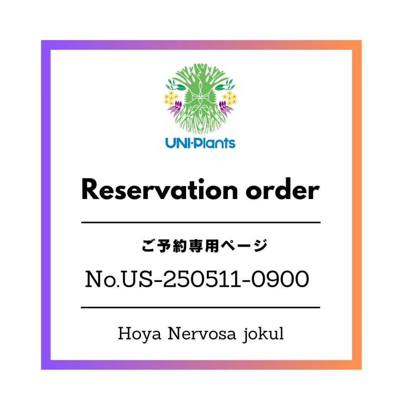 ご予約者様専用ページ ご予約No.US-250511-0900 Hoya Nervosa jo
