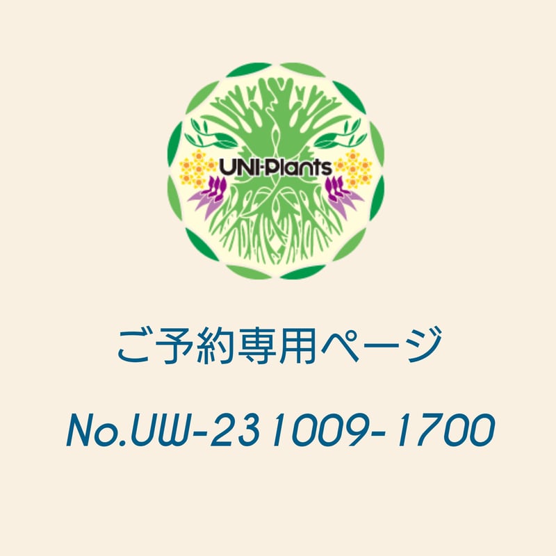 ご予約者様 専用ページ ご予約No.UW-231009-1700 Hoya Sulawesi...