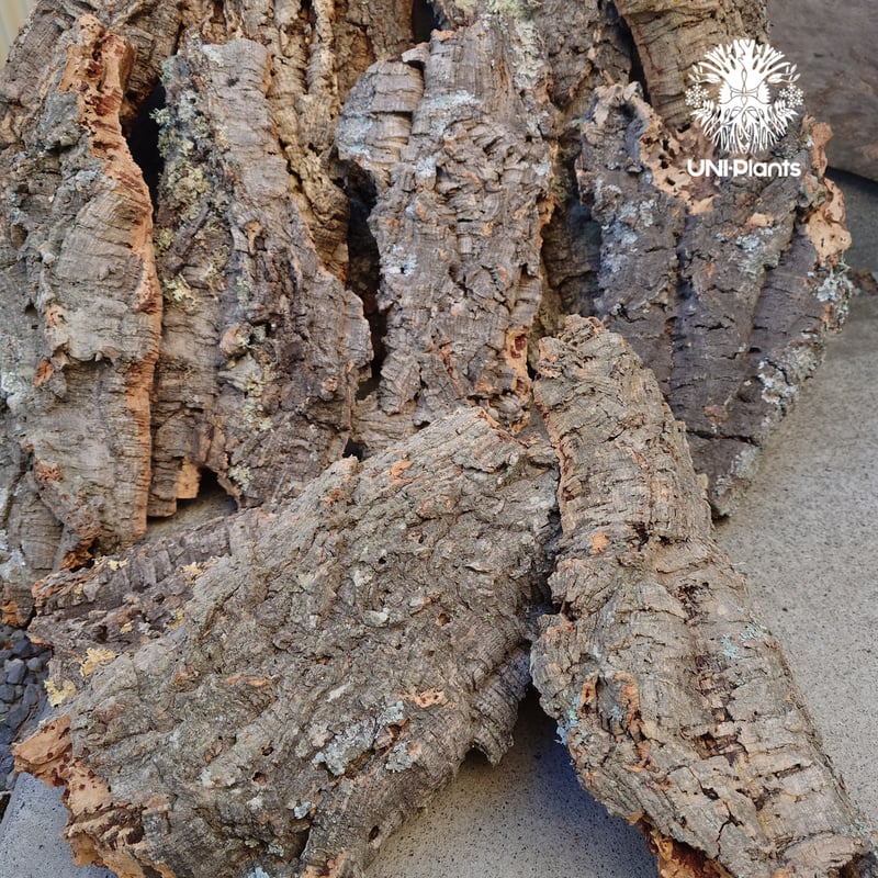 W261 ポルトガル産 キャノンコルク コルク樹皮 コルク板