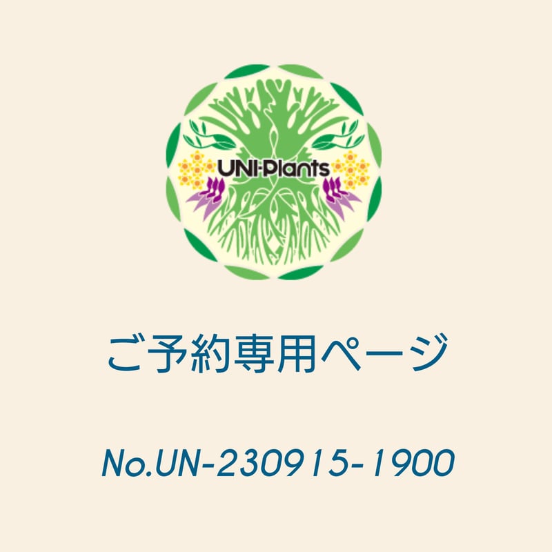 ご予約者様 専用ページ ご予約   g